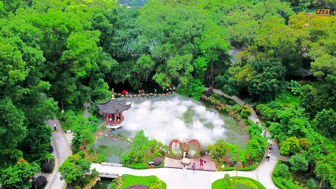 Two silver-haired tourism projects in Guangdong selected as national examples