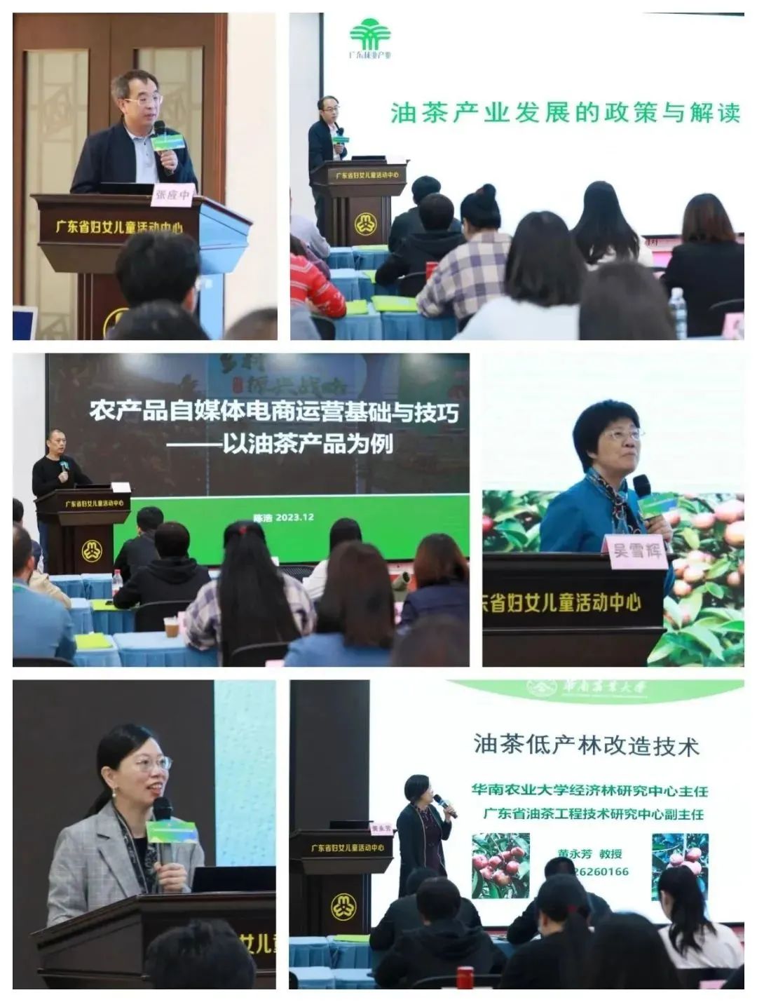 培训交流活动现场