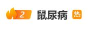 致死率高達70%！暴雨過后不要蹚水，謹防感染“鼠尿病”｜安全貼心話