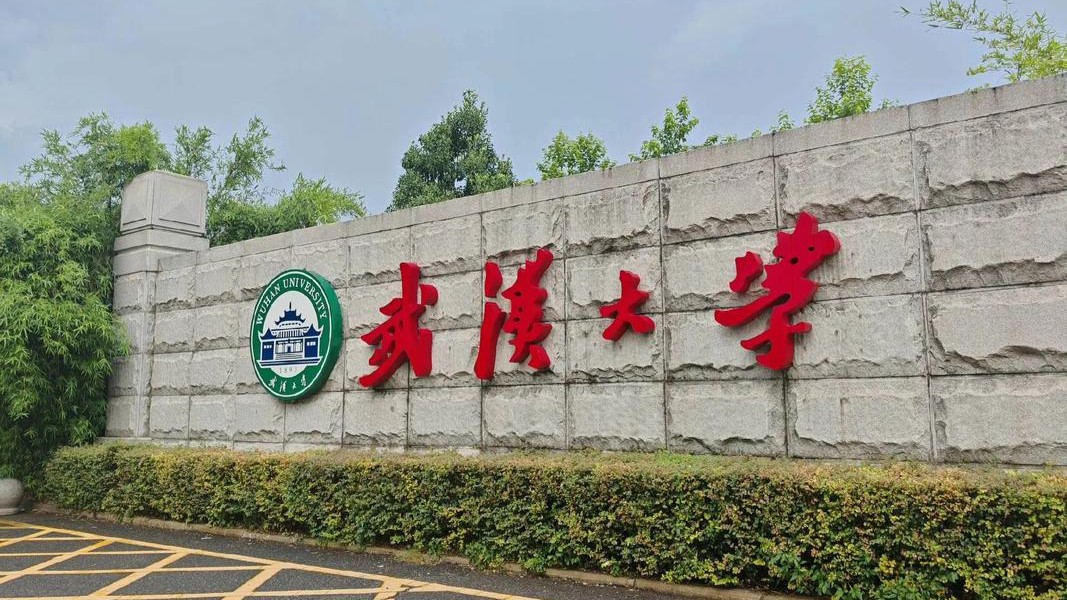 武汉大学：对肖某某纪律处分、杨某某学位论文等进行全面调查复核