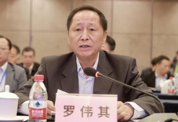 广东省政府参事罗伟其发言