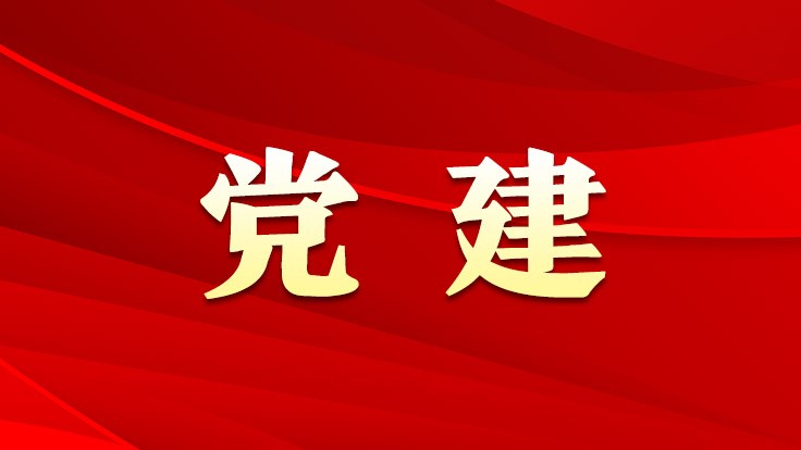 蓝城兄弟：互联网企业党建引领正能量高质量发展的实践与思考