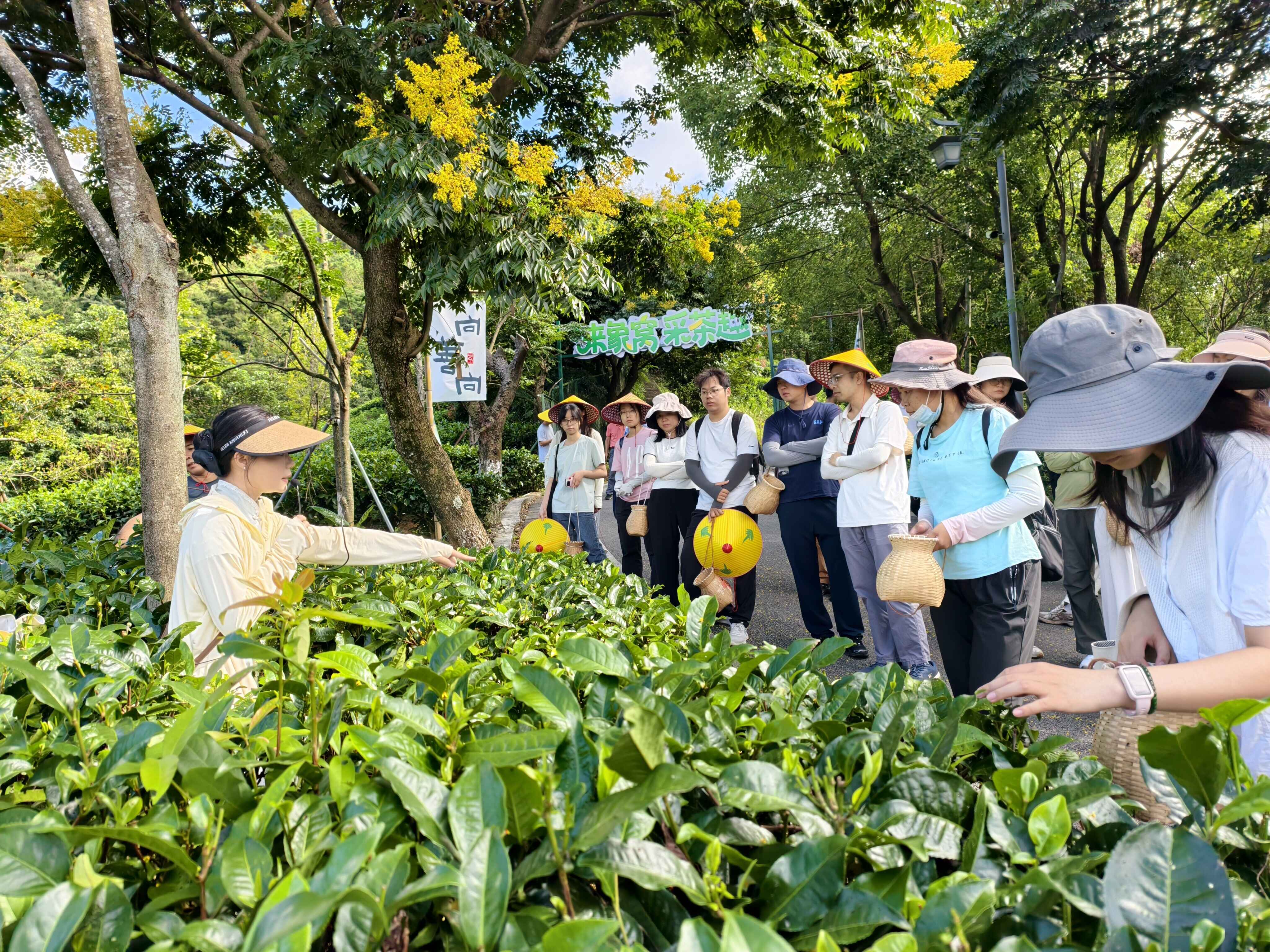 新兴县太平镇：“疗休养+乡村振兴”双向赋能 助推“百千万工程”与乡村旅游共发展