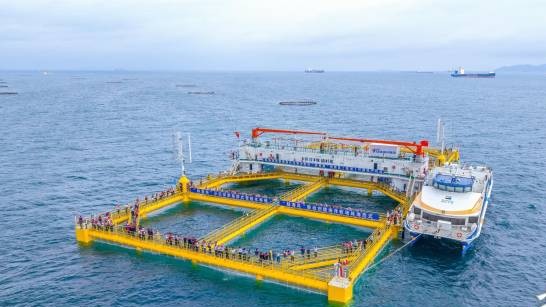 Guangdong issues nation's first judicial safeguard opinions on marine economic development