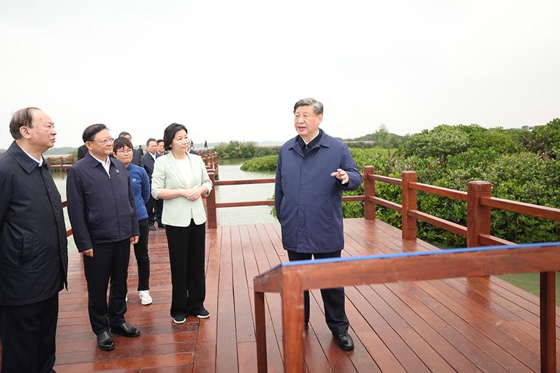 2023年4月10日，习近平总书记在广东湛江市麻章区湖光镇金牛岛红树林片区考察。