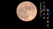 星火成炬|诗词里的明月 星火成炬|诗词里的明月