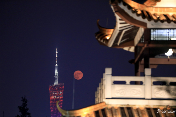 Photos | Mid-Autumn Festival celebrated across Guangdong