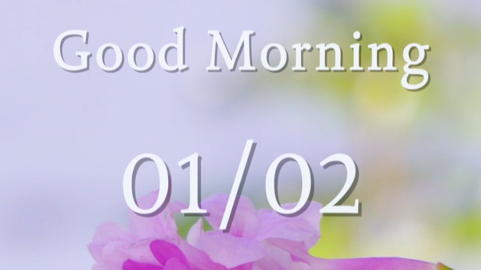 Warm breeze and full bloom of flowers make up winter morning in splendor