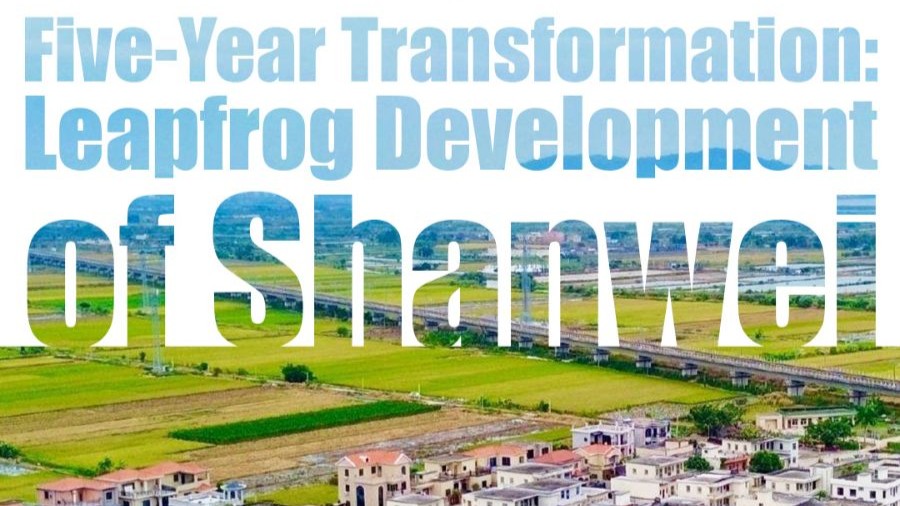 Data Pulse丨Five-year transformation: Leapfrog development of Shanwei