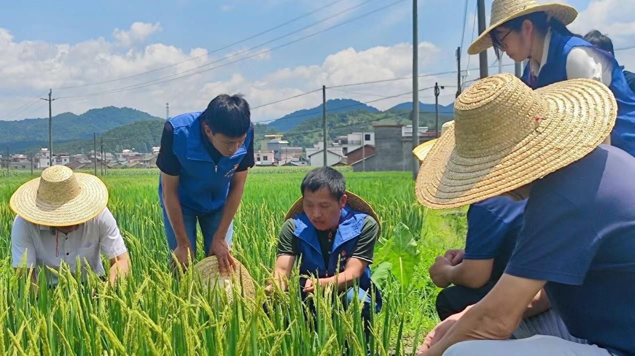 广东省科技厅倡议农村科技特派员参与科技减灾