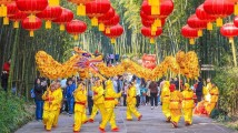 这个春节 “龙味”十足! 这个春节 “龙味”十足!
