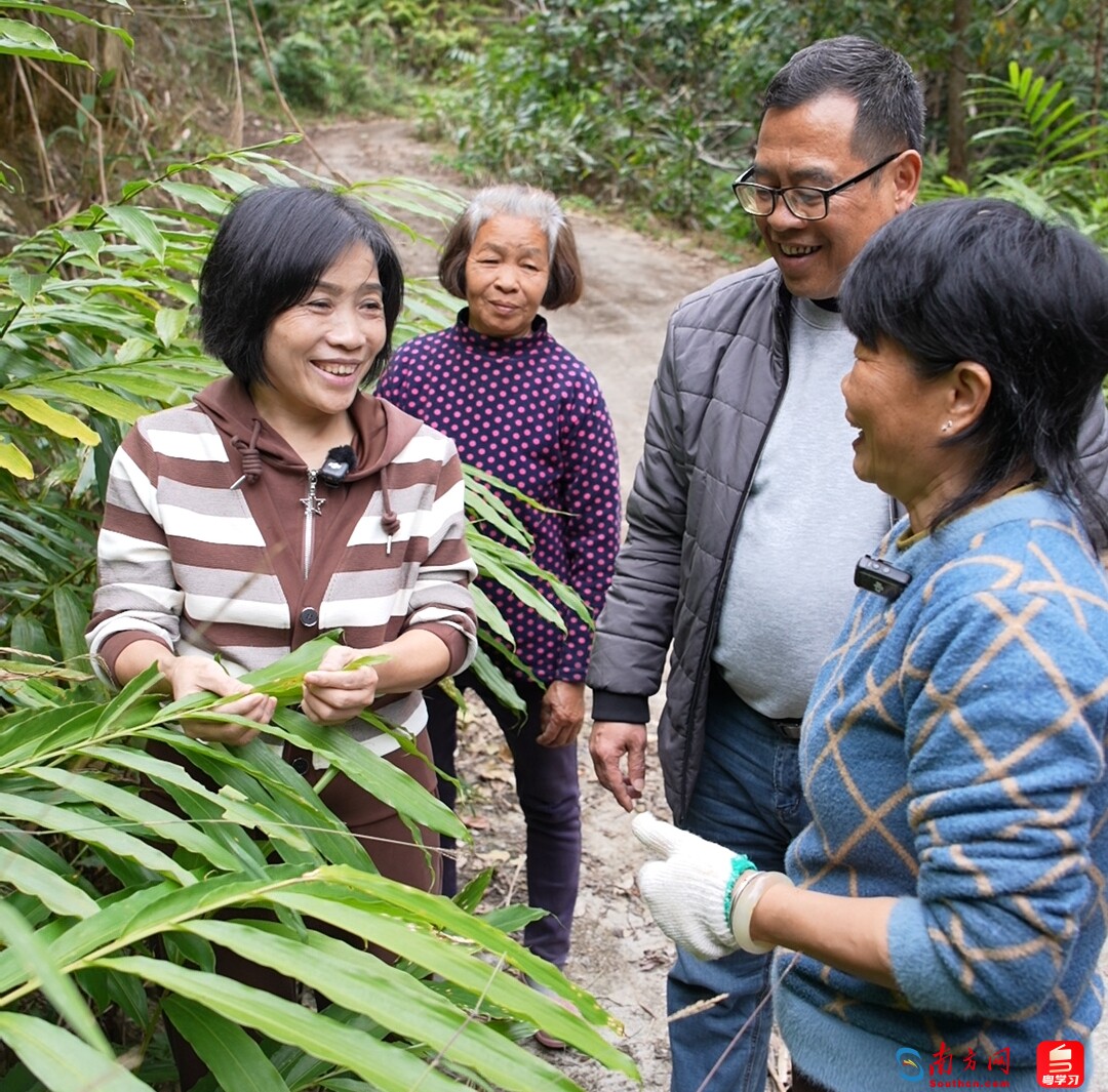 冯惠容在砂仁种植基地走访调研，听取农户诉求建议