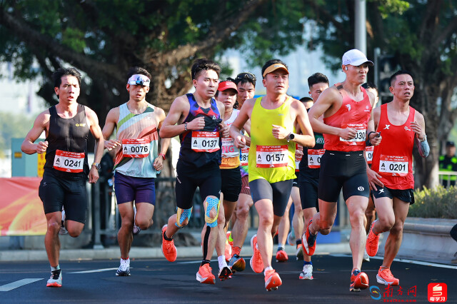 2025 年 12 月 21 日，广州马拉松赛鸣枪出发，一众国内精英跑者在珠江沿岸的林荫赛道上全力奔跑。选手们迈开步伐，在清晨的暖阳下，共同演绎着这场城市赛事的速度与激情。