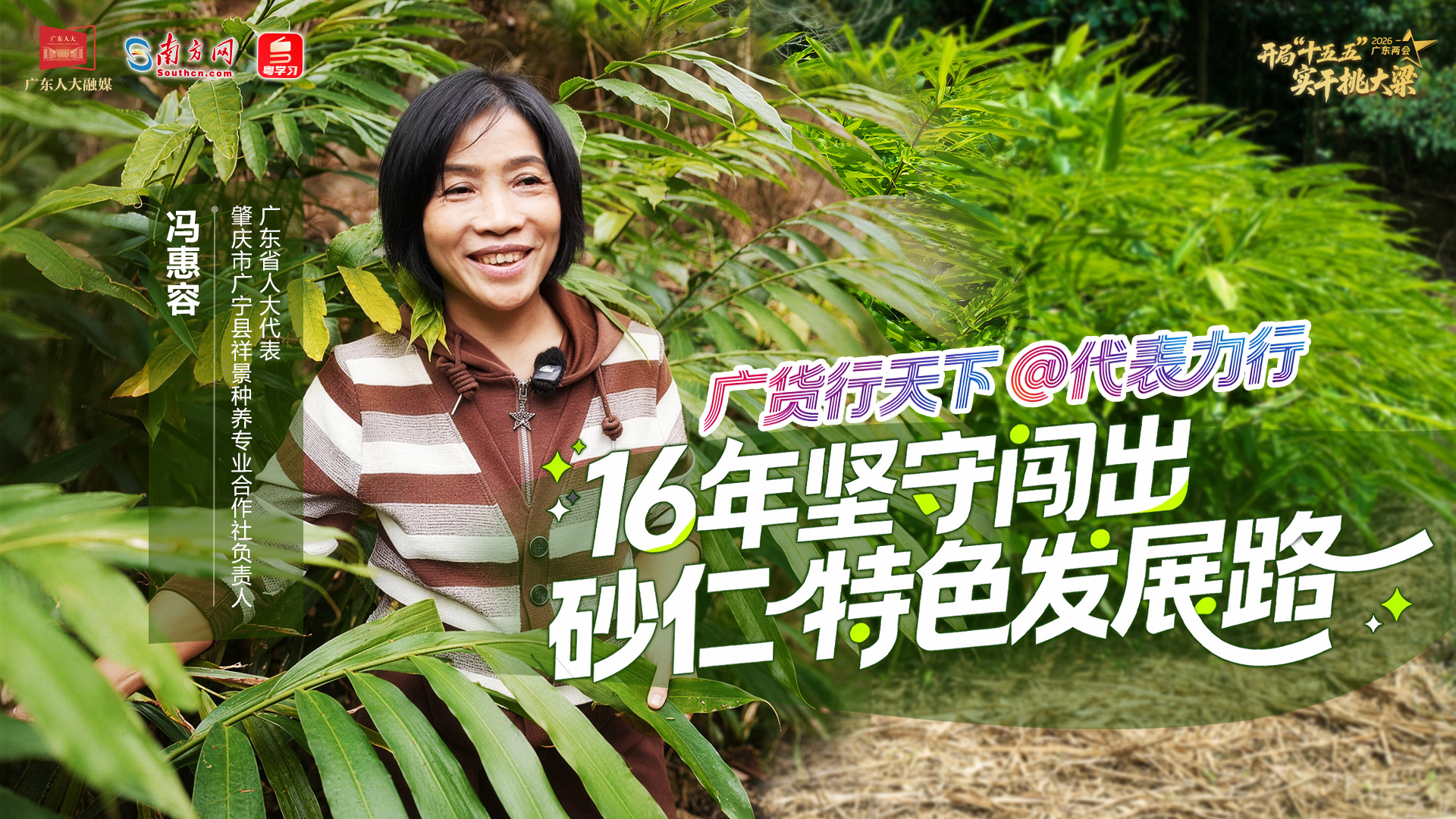 广货行天下@代表力行｜冯惠容：16年坚守闯出砂仁特色发展路