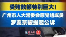 广东检察机关依法对罗冀京涉嫌受贿案提起公诉