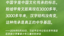 学习时节｜“中国字是中国文化传承的标志”