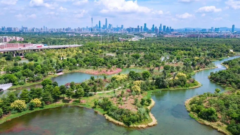 Guangzhou's Haizhu Wetland offers benefits for Canton Fair guests