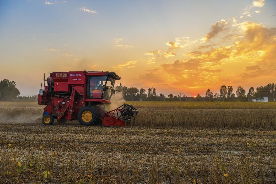 Major Chinese agricultural provinces secure grain harvest despite extreme weather