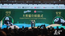 “安安”“可可”!中央政府赠港大熊猫公布正式命名 “安安”“可可”!中央政府赠港大熊猫公布正式命名