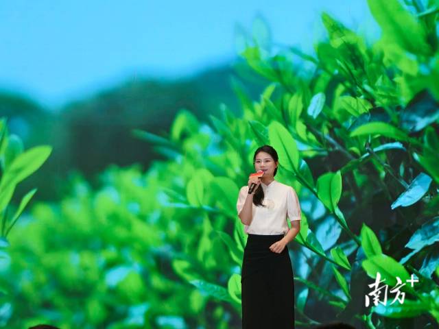  王谢思齐 摄