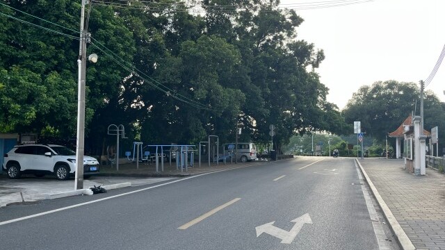 廣州白云人和鎮(zhèn)清河村：以“百千萬工程”為筆，繪就鄉(xiāng)村振興美好畫卷