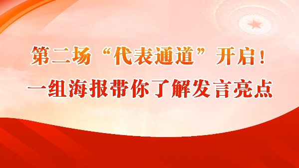 第二场“代表通道”开启！一组海报带你了解发言亮点