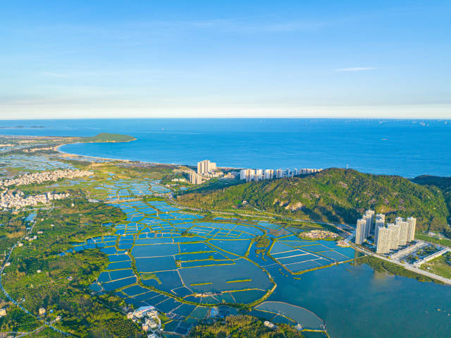 广东沿海各县发力县域经济，加快打造“粤海粮仓”。南方+记者张令摄