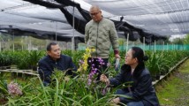 广东:砥砺奋进绽芳华 税务巾帼谱华章 广东:砥砺奋进绽芳华 税务巾帼谱华章