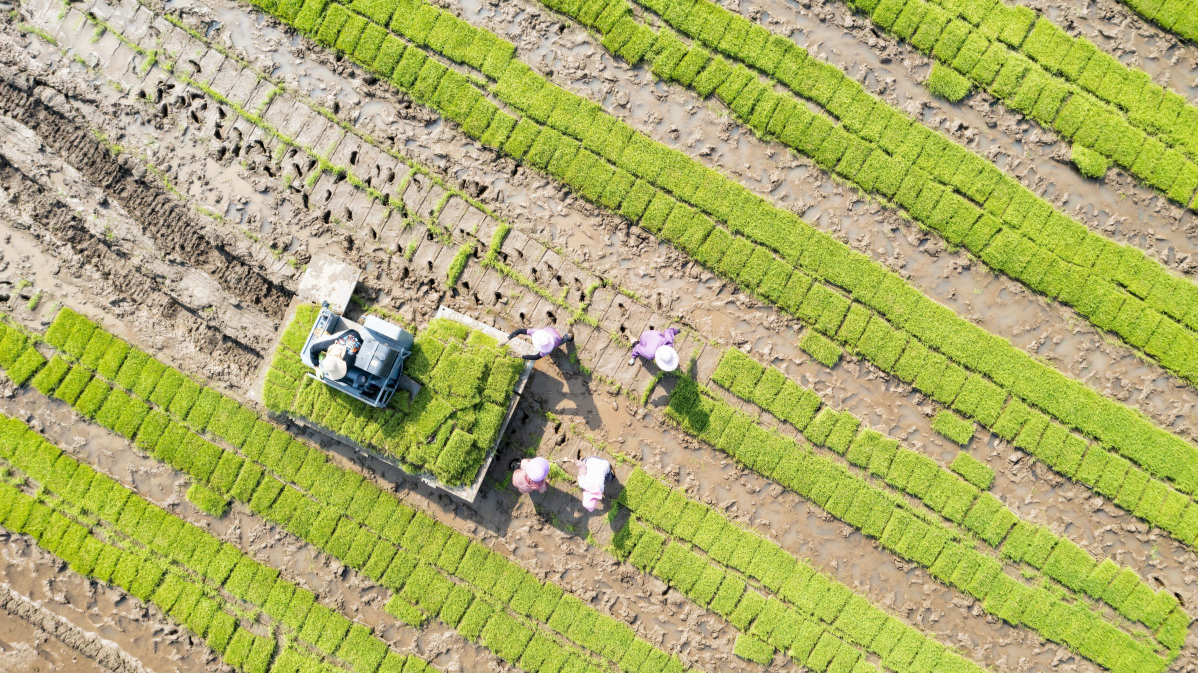 Spring plowing goes high-tech in Guangdong's Zhuhai