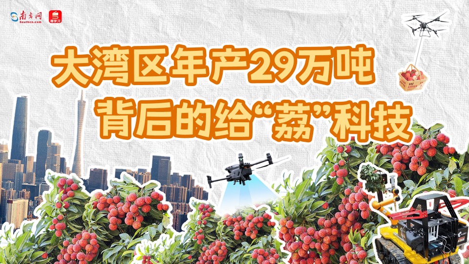 大湾区年产29万吨背后的给“荔”科技｜数说大湾区