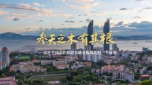 参天之木有其根——习近平同志在福建金融实践探索的三个故事 参天之木有其根——习近平同志在福建金融实践探索的三个故事