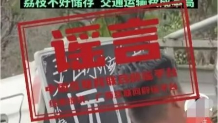 今日辟谣（2025年6月16日）