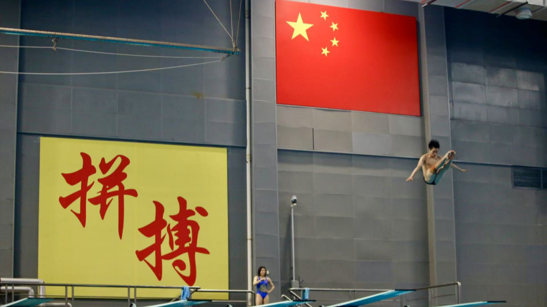 奥运冠军领衔，广东跳水队提前启动夏训