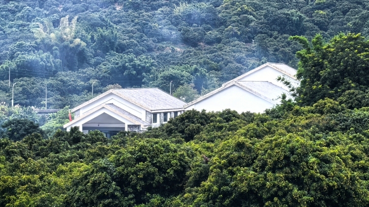 从化搞了个睡眠节，睡觉成了康养文旅的主题—— 一座小镇的“睡眠救赎”实验