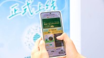 百家企业认捐古树,首批认捐金额达1690万元!绿美广东古树认捐项目正式上线 百家企业认捐古树,首批认捐金额达1690万元!绿美广东古树认捐项目正式上线
