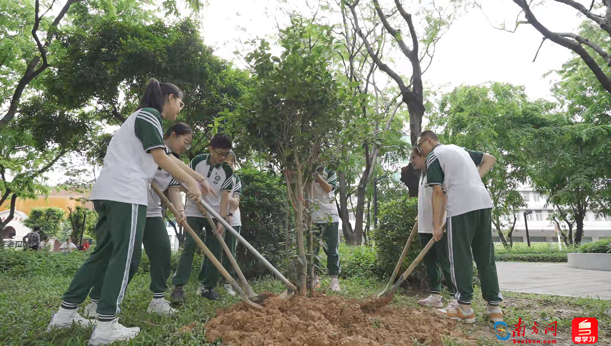 白云湖街辖内学子参加植树活动。通讯员供图