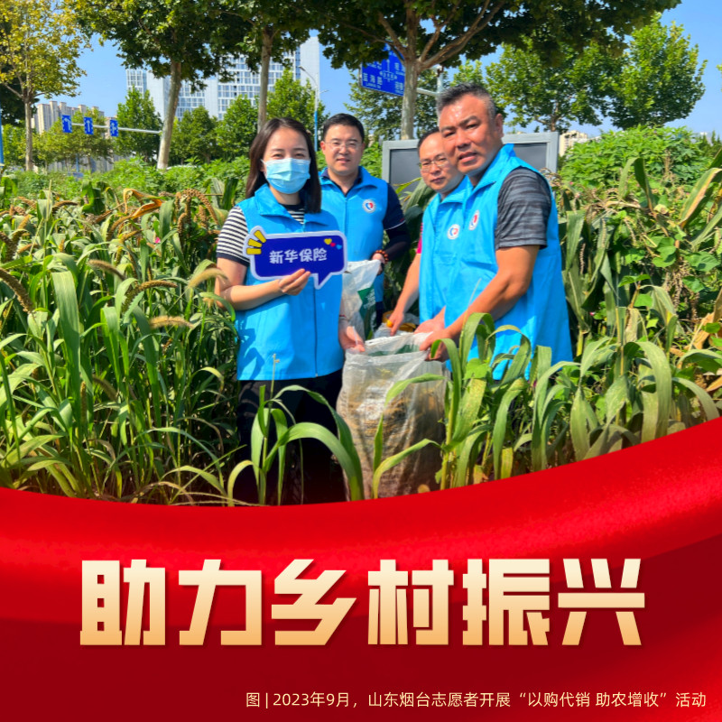 服务国家战略：新华保险高质量做好“五篇大文章”