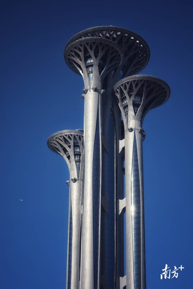 2月2日上午,北京奥森公园附近的奥林匹克塔。 南方+ 张迪 拍摄 2月2日上午,北京奥森公园附近的奥林匹克塔。 南方+ 张迪 拍摄