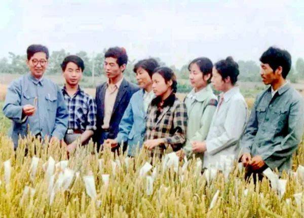 1987年，西北植物所遗传室部分研究人员（左一为李振声）