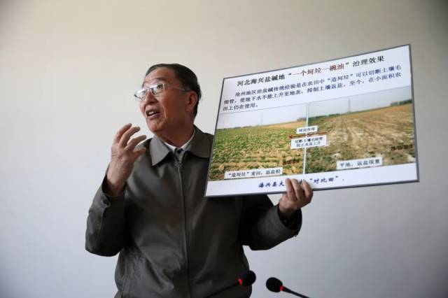 李振声院士在介绍河北海兴盐碱地治理的前后对比照片。新华社记者 金立旺 摄
