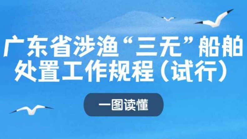 一图读懂《广东省涉渔“三无”船舶处置工作规程（试行）》