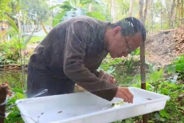 朱江在飞行阻拦器中捕捉昆虫样本