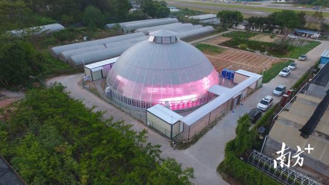華南農業大學“智慧小院”俯瞰圖。
