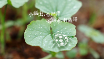 谷雨:以一场雨告别春日,迎接初夏的热烈 谷雨:以一场雨告别春日,迎接初夏的热烈