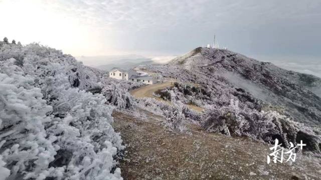 Meizhou's Hongtuzhang Mountain turns into a crystal wonderland amid frost and ice
