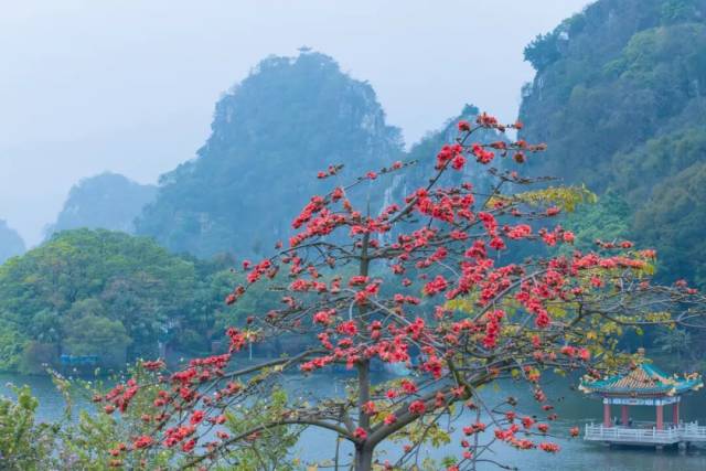 △以上2图肇庆发布特约摄影师聂伟健、肇庆市融媒体中心记者吴勇强 摄