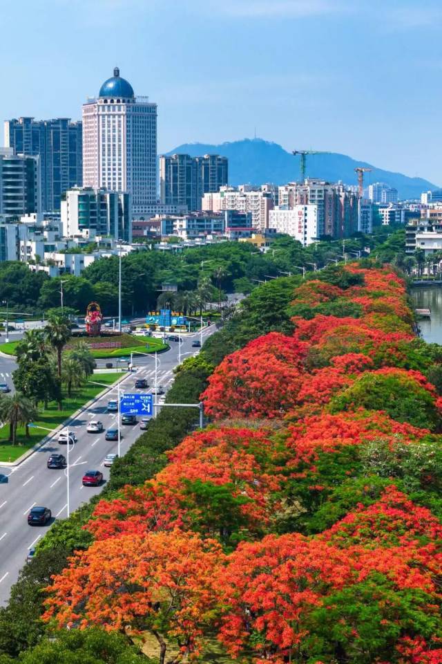 △肇庆市融媒体中心记者 吴勇强 摄