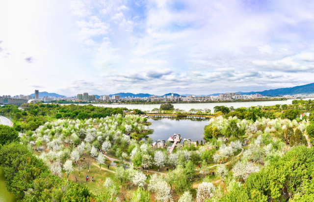 △肇庆发布特约摄影师梁亮 摄