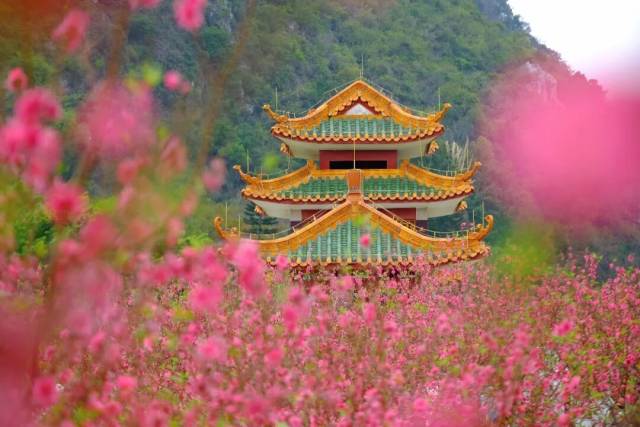 △梁展伦（沿路） 摄