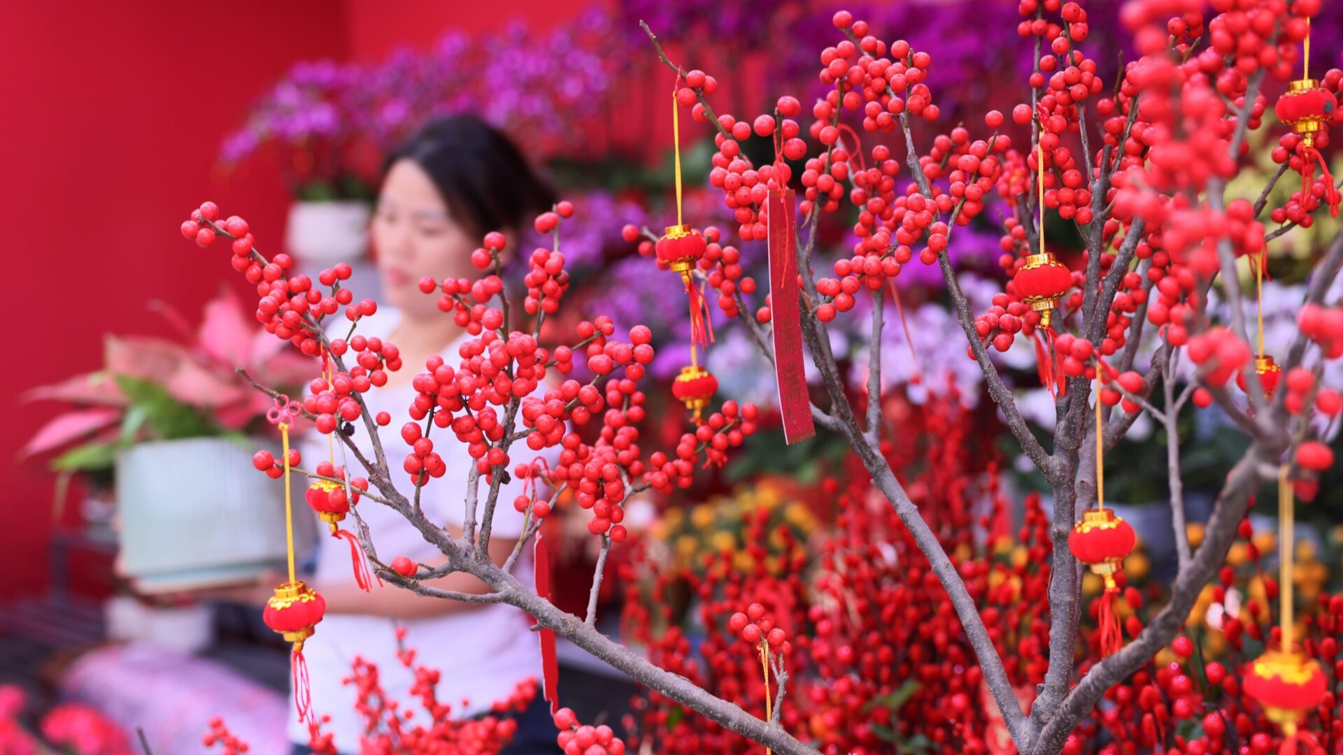 Please check guide for 2025 Chinese New Year flower markets in Guangzhou